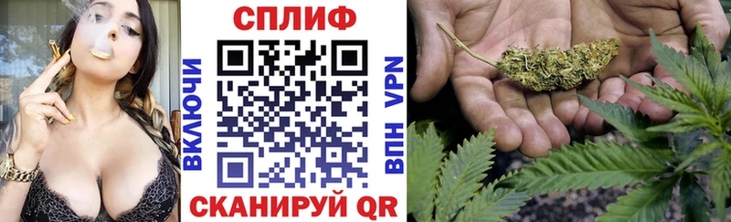 Бошки марихуана THC 21%  Купить закладки  Великий Устюг 